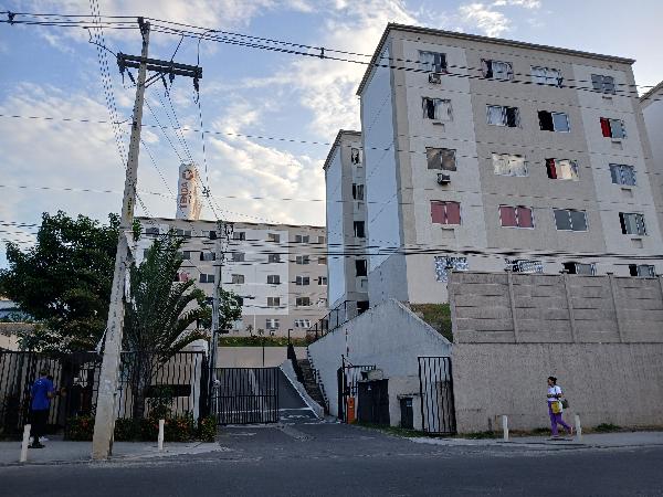 Imagem leilão