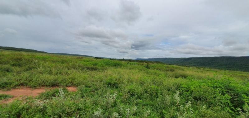 IMÓVEL RURAL COM ÁREA DE 1.899,2700HAS, "FAZENDA VALENT.. em Rosário Oeste/MT - foto 35
