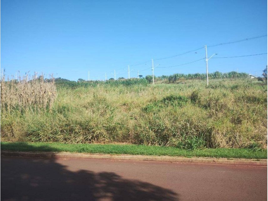 Imagem leilão