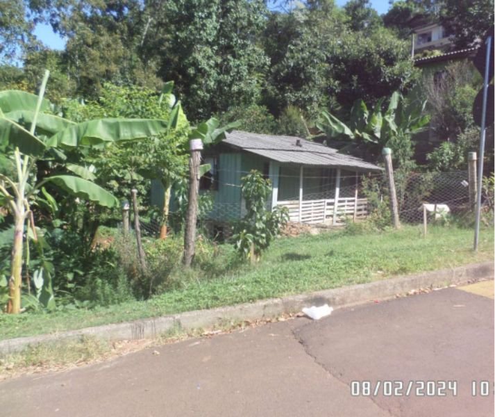 Imagem leilão