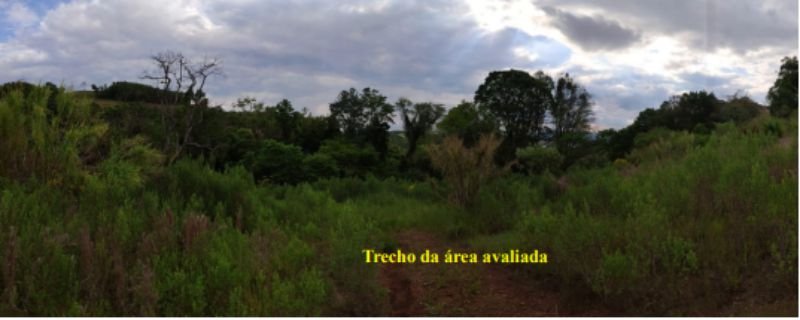 Imagem leilão