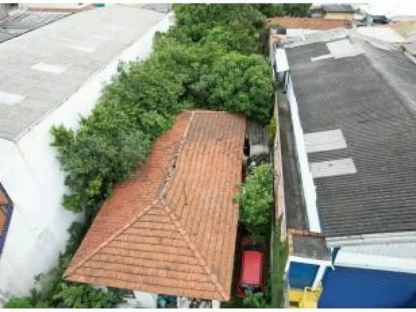 Imagem leilão