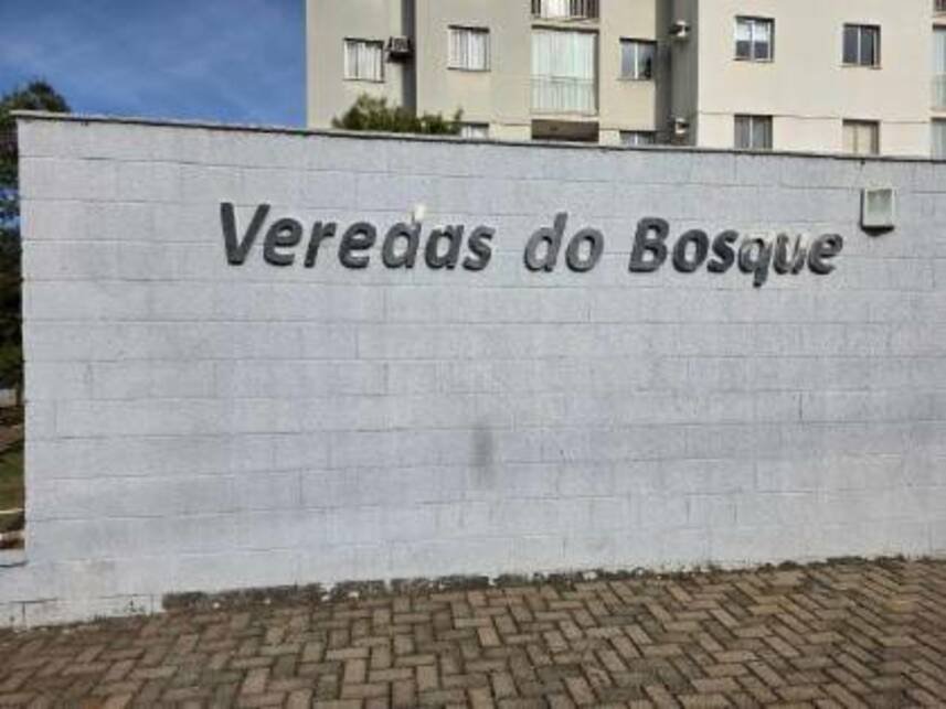 Imagem leilão