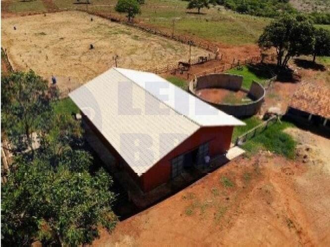 Imagem leilão