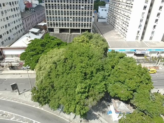 LEILÃO DE IMÓVEIS DO BANCO DO BRASIL em Rio de Janeiro/RJ - foto 9