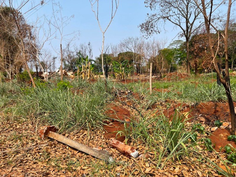 IMÓVEL MATRÍCULA Nº 8.003 em Sarandi/PR - foto 15