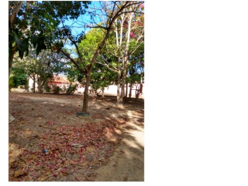 FAZENDA DOIS IRMÃOS MEDINDO 13,96 ALQUEIRES EM COLMÉIA, TOCANTINS em Colméia/TO - foto 14