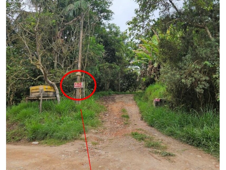 Imagem leilão