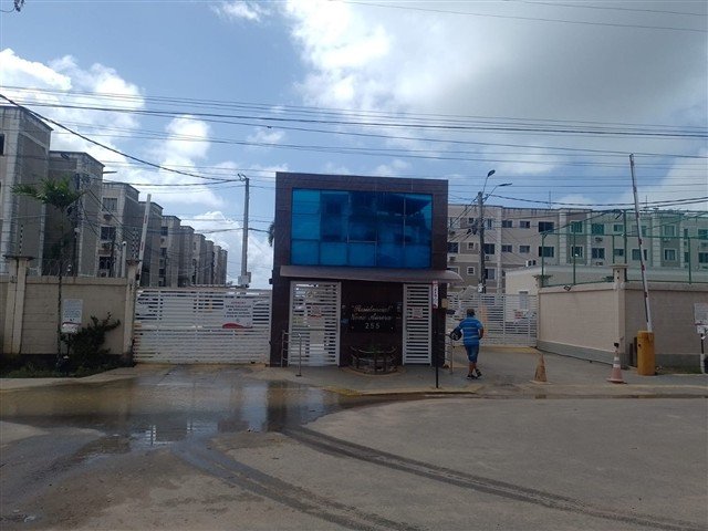 Imagem leilão