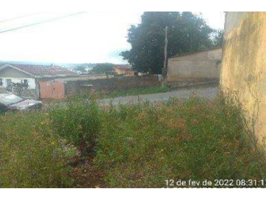 Imagem leilão