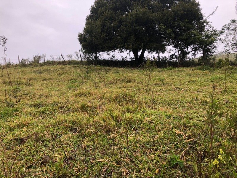 A FRAÇÃO IDEAL DE 50% (128.750,00M²) SOBRE O LOTE RURAL.. em Erval Grande/RS - foto 19