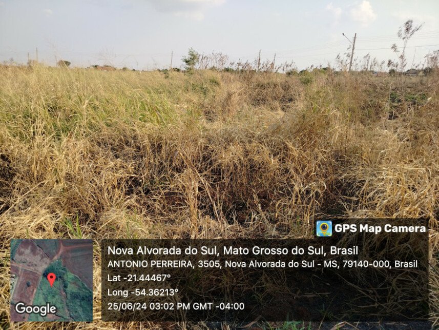 Imagem leilão
