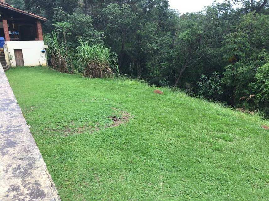 Imagem leilão