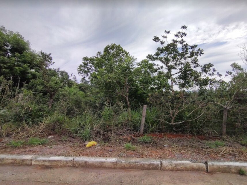 Imagem leilão