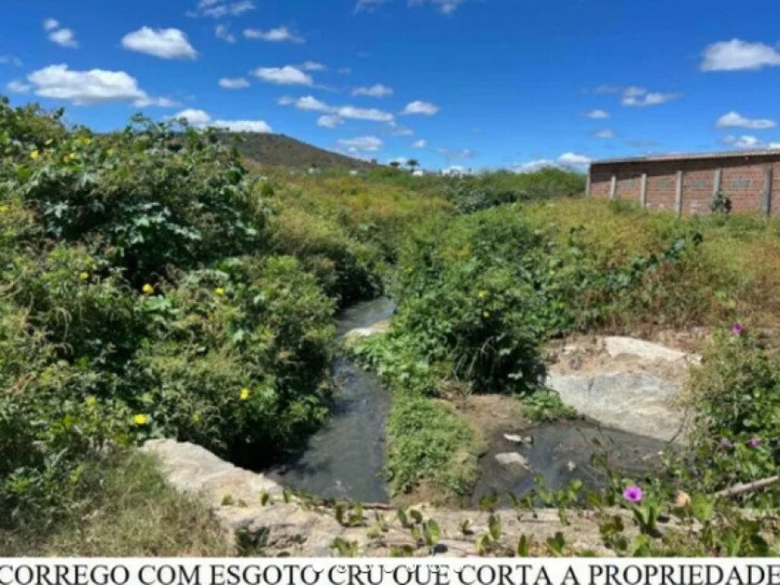 Imagem leilão