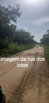 Imagem leilão