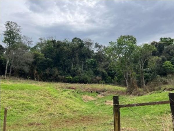 LOTE ÚNICO - VENDA DIRETA DE LOTE RURAL, COM ÁREA DE 124.233,00M², LOCALIZADO NO B. 5° POL em Medianeira/PR - foto 3