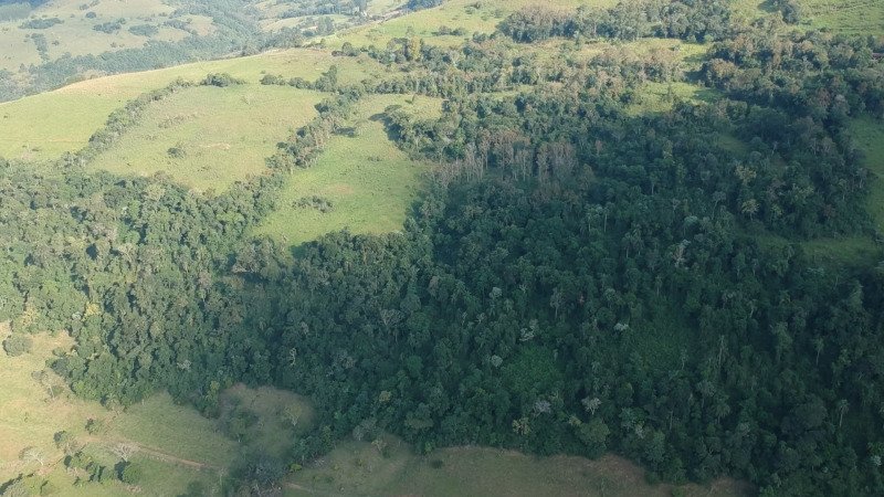 A FRAÇÃO IDEAL DE 50% (128.750,00M²) SOBRE O LOTE RURAL.. em Erval Grande/RS - foto 1