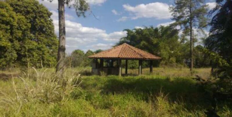Imagem leilão
