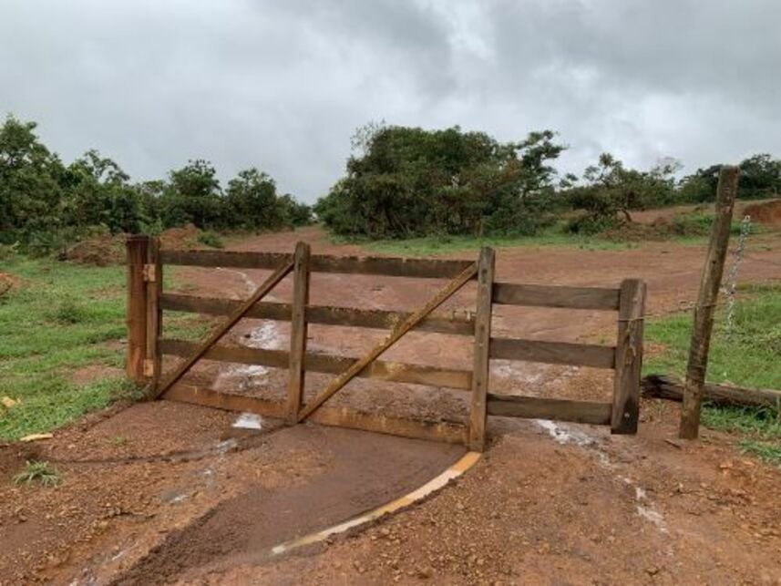 Imagem leilão