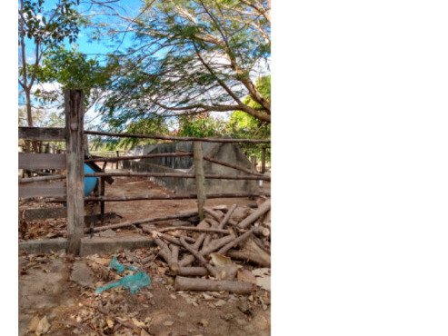 FAZENDA DOIS IRMÃOS MEDINDO 13,96 ALQUEIRES EM COLMÉIA, TOCANTINS em Colméia/TO - foto 6