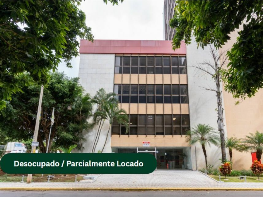 Imagem leilão