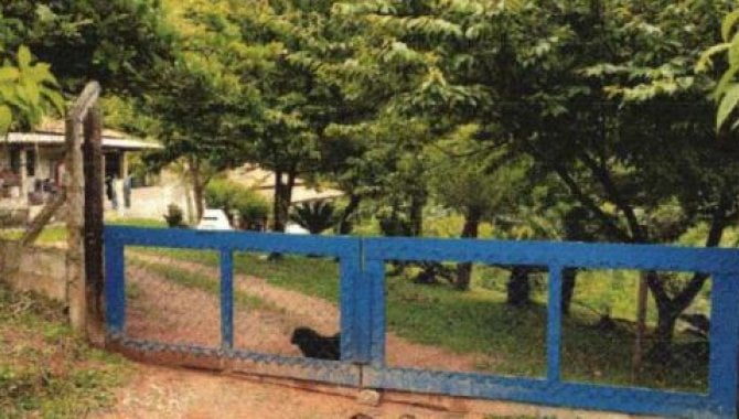 Imagem leilão