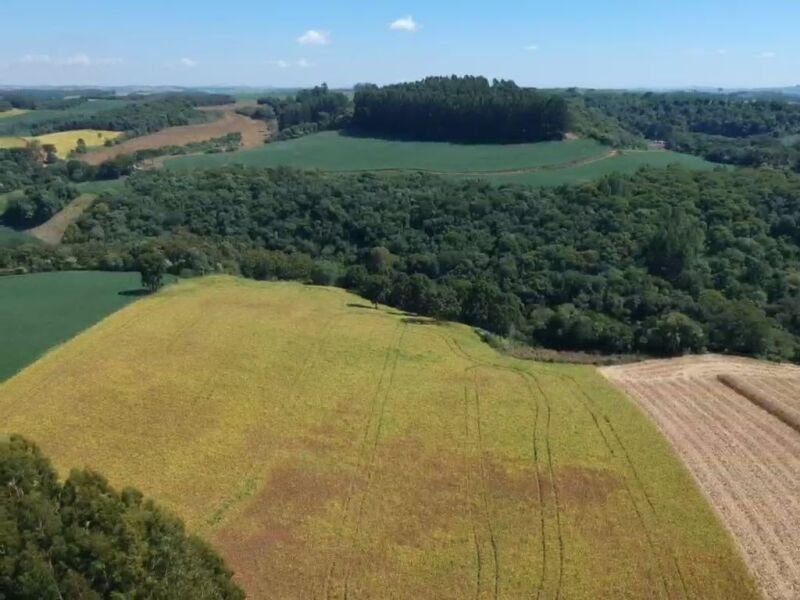 OS DIREITOS E AÇÕES DA FRAÇÃO IDEAL DE 8.410,71m² SOBRE.. em Áurea/RS - foto 5