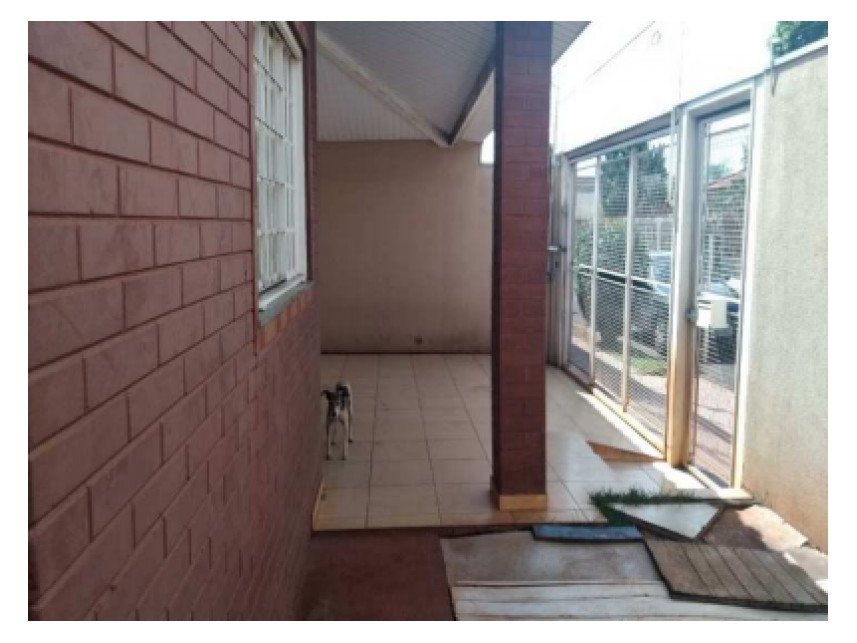 Imagem leilão