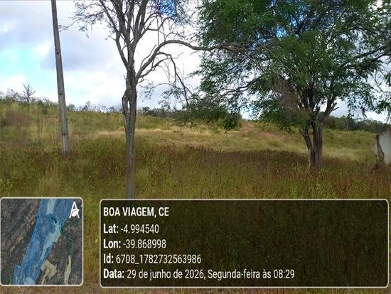 Imagem leilão
