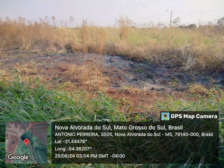 Imagem leilão