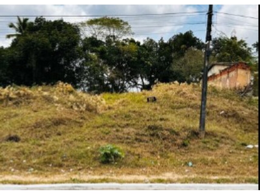 Imagem leilão
