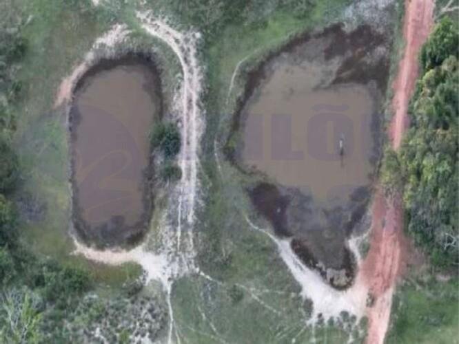 Imagem leilão