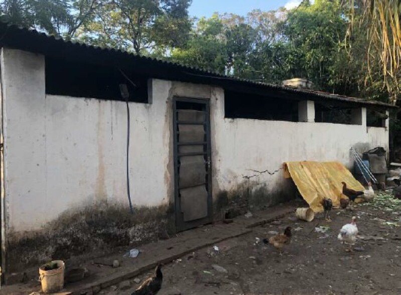 Imagem leilão