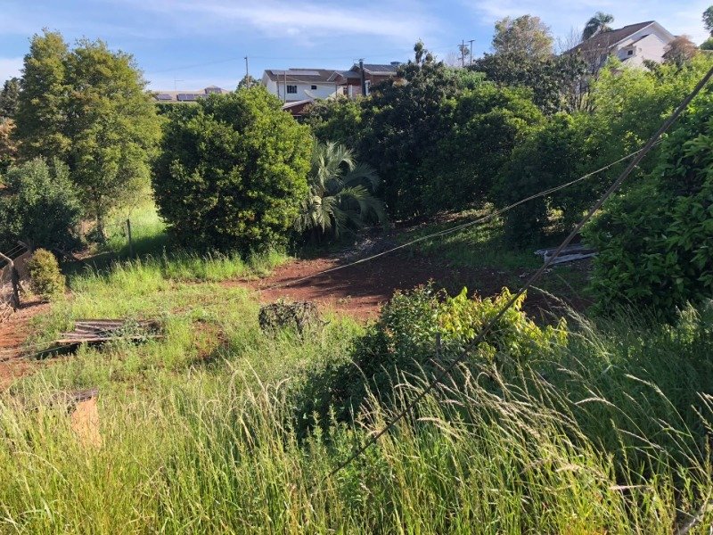 TERRENO URBANO CONSISTENTE DA METADE LESTE DO LOTE URBA.. em Áurea/RS - foto 6