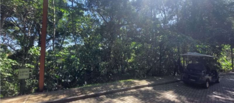 Imagem leilão