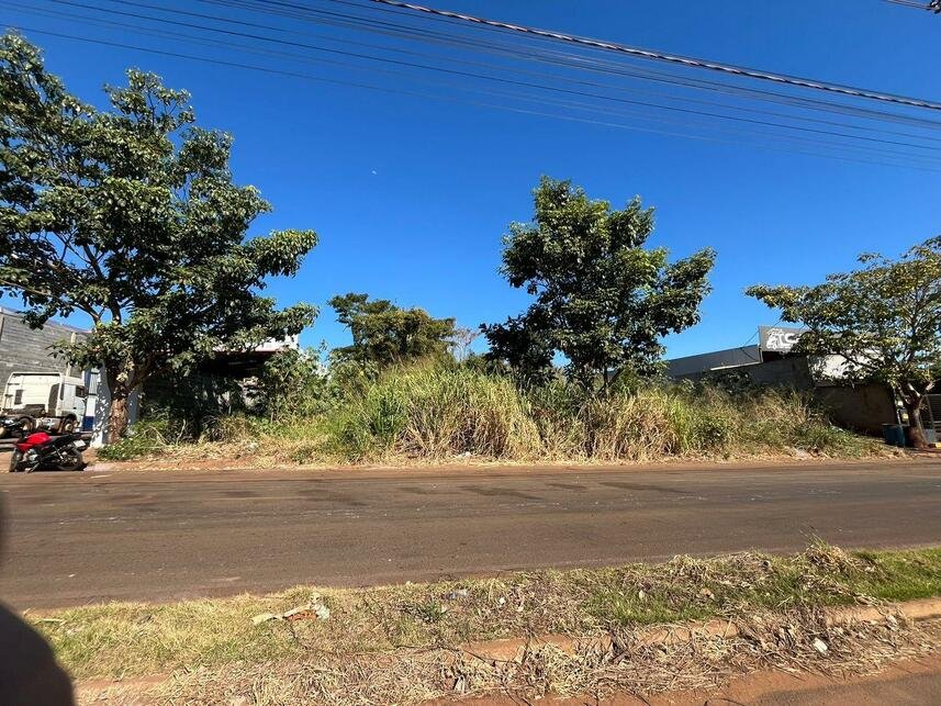 Imagem leilão