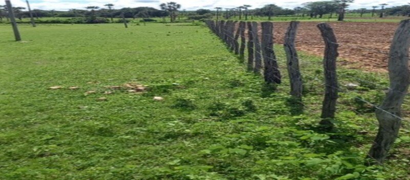 CEARÁ - INDEPENDÊNCIA/CE - FAZENDA/ÁREA RURAL em Independência/CE