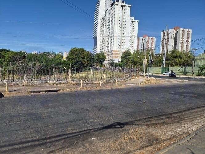 Imagem leilão