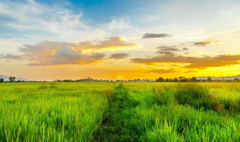 FRAÇÃO IDEAL DE 20% DE 104 HECTARES NA FAZENDA DOS DELG.. em Chácara/MG