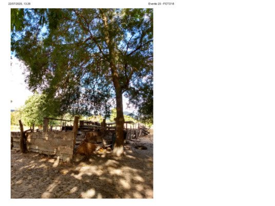 FAZENDA DOIS IRMÃOS MEDINDO 13,96 ALQUEIRES EM COLMÉIA, TOCANTINS em Colméia/TO - foto 2