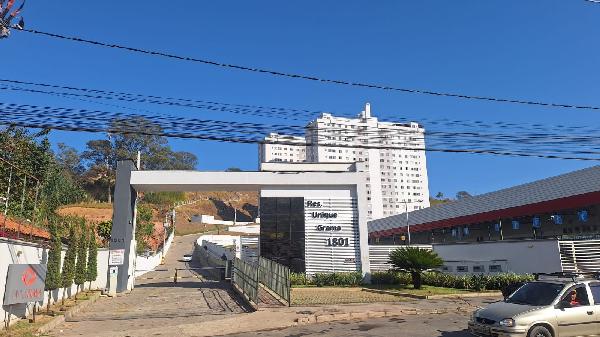 Imagem leilão