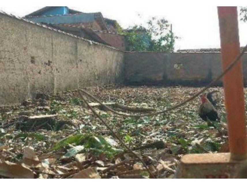 Imagem leilão