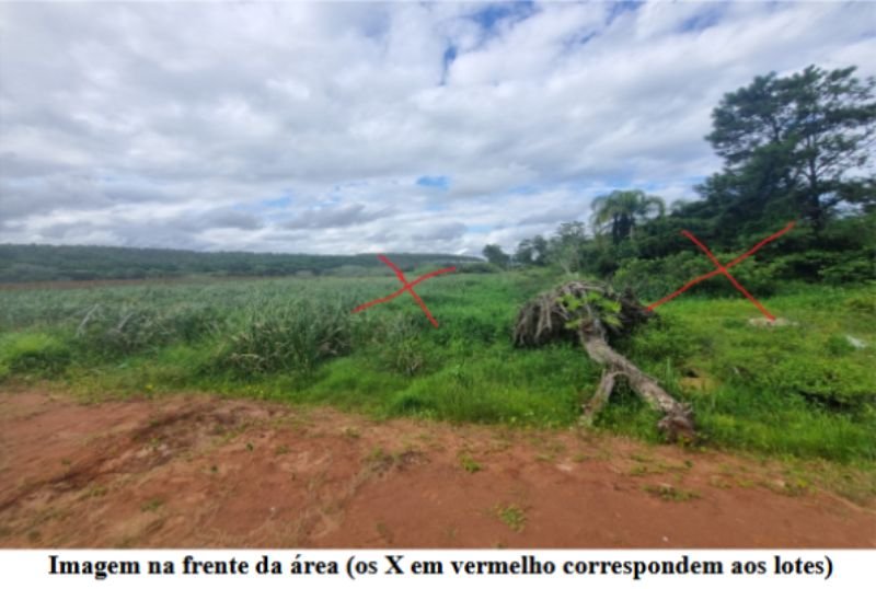 Imagem leilão