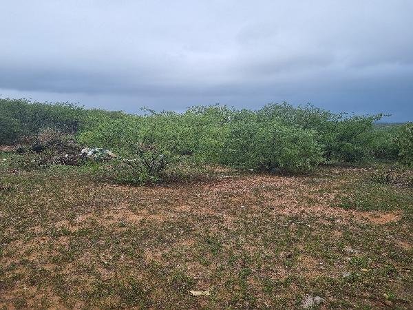Terreno, 0.00 de área total, 0.00 de área privativa, 28400.00 de área do terreno. em São Vicente/RN
