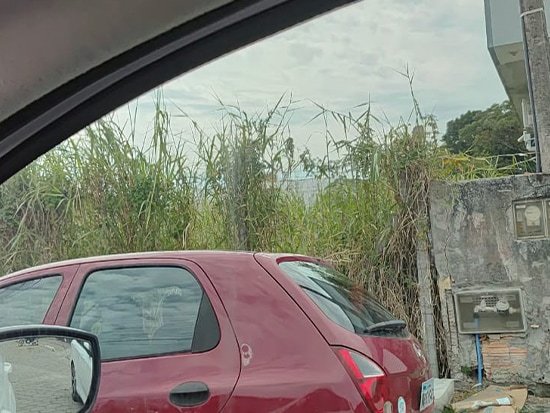 Imagem leilão