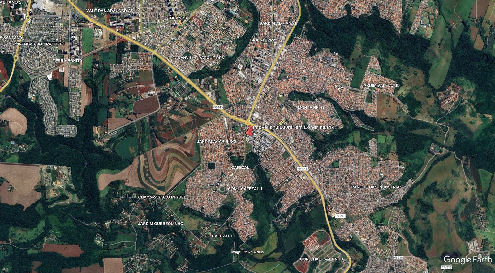 Imagem leilão