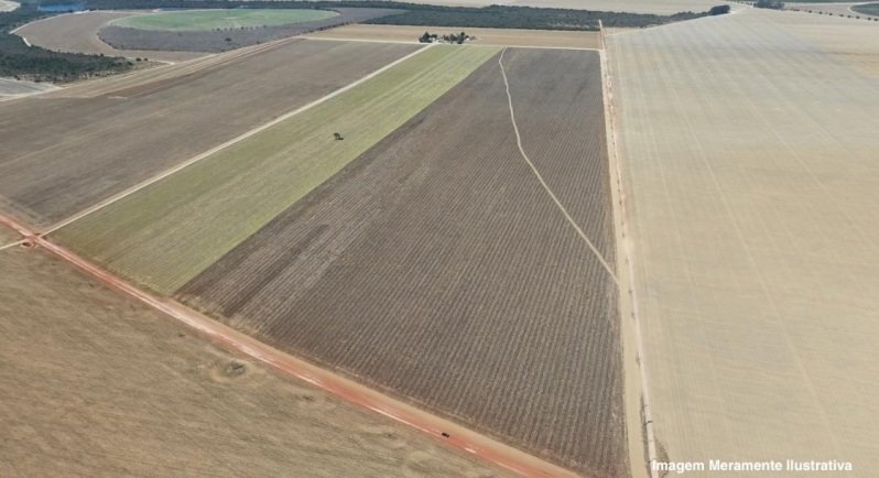 IMÓVEL RURAL - FAZENDA PEQUI localizada no município de Bonfinópolis/MG em Bonfinópolis de Minas/MG - foto 2