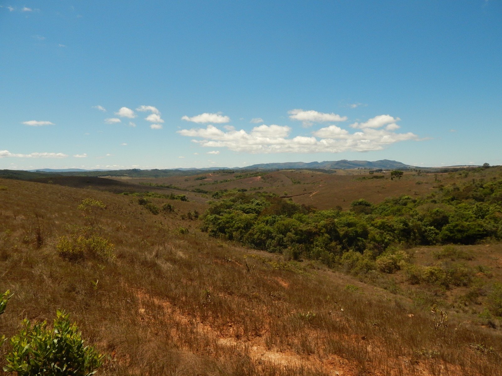 FAZENDA CAMPINAS APROXIMADAMENTE 90HA EM CRUZÍLIA /MG em Cruzília/MG - foto 8