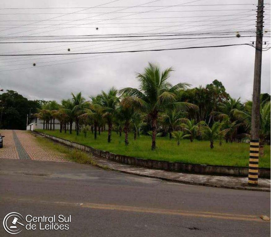 Imagem leilão